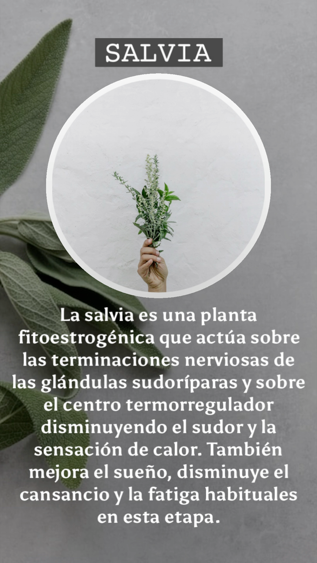 Capsulas de Apoyo Femenino | Women Support capsules