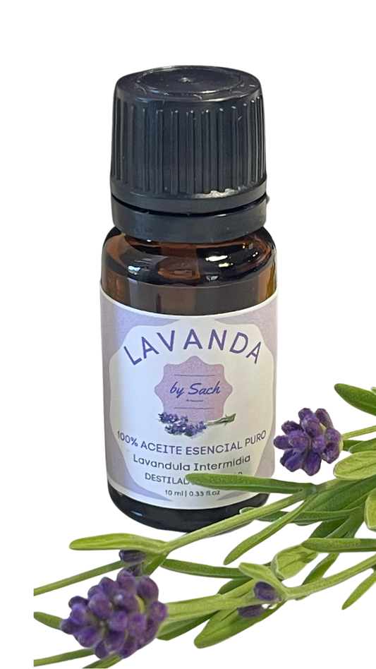 Lavanda - aceite esencial | Lavender - essential oil