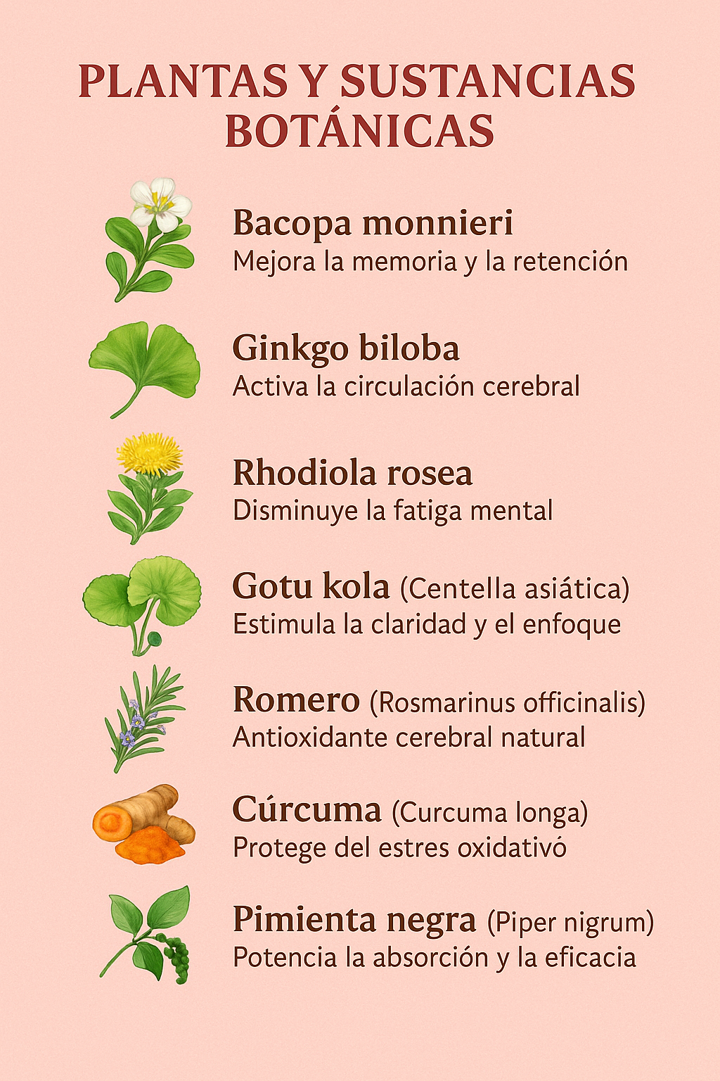 Enfoque y Concentracion Capsulas | focus and concentration capsules