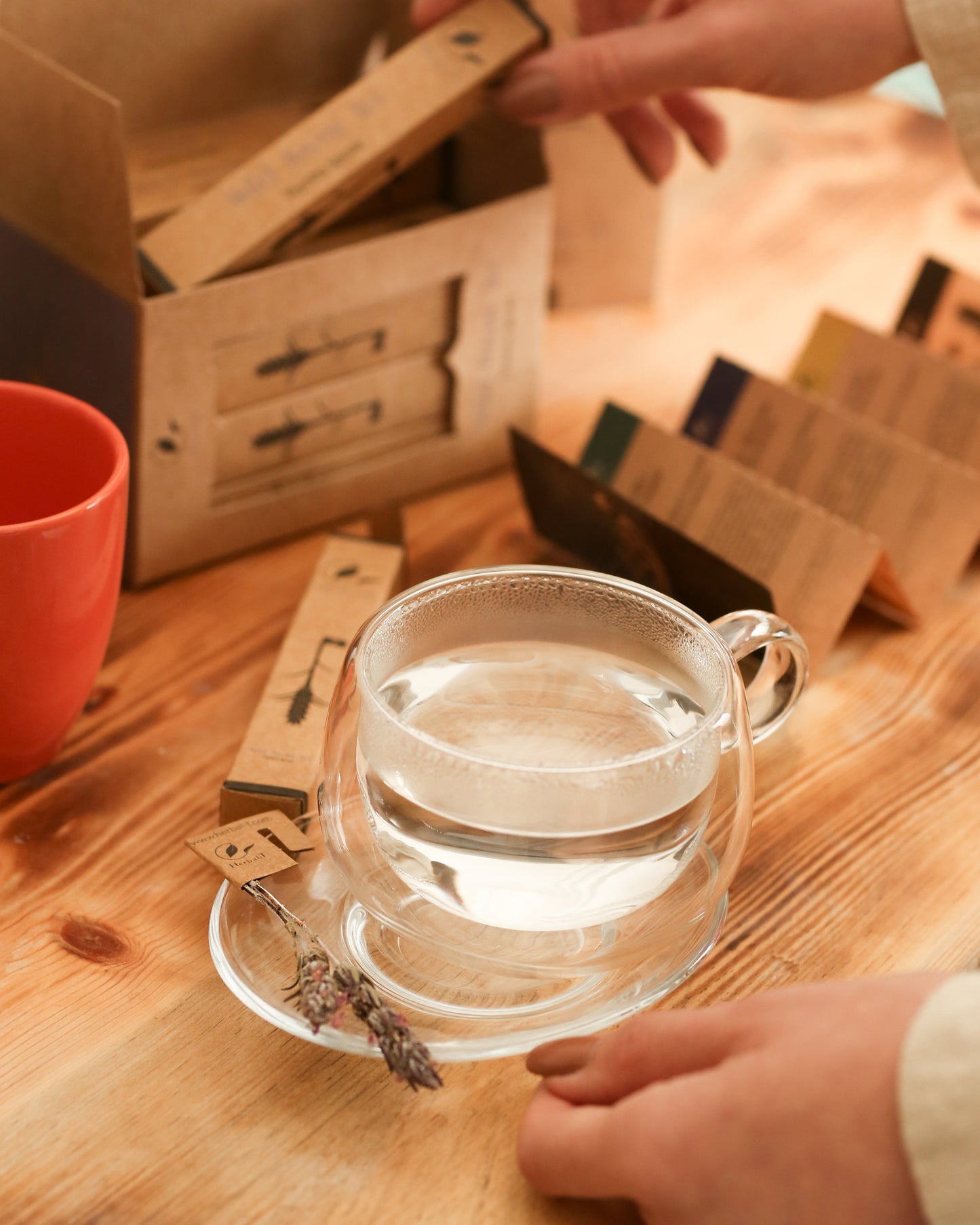 Tomillo Silvestre | Wild Thyme Tea