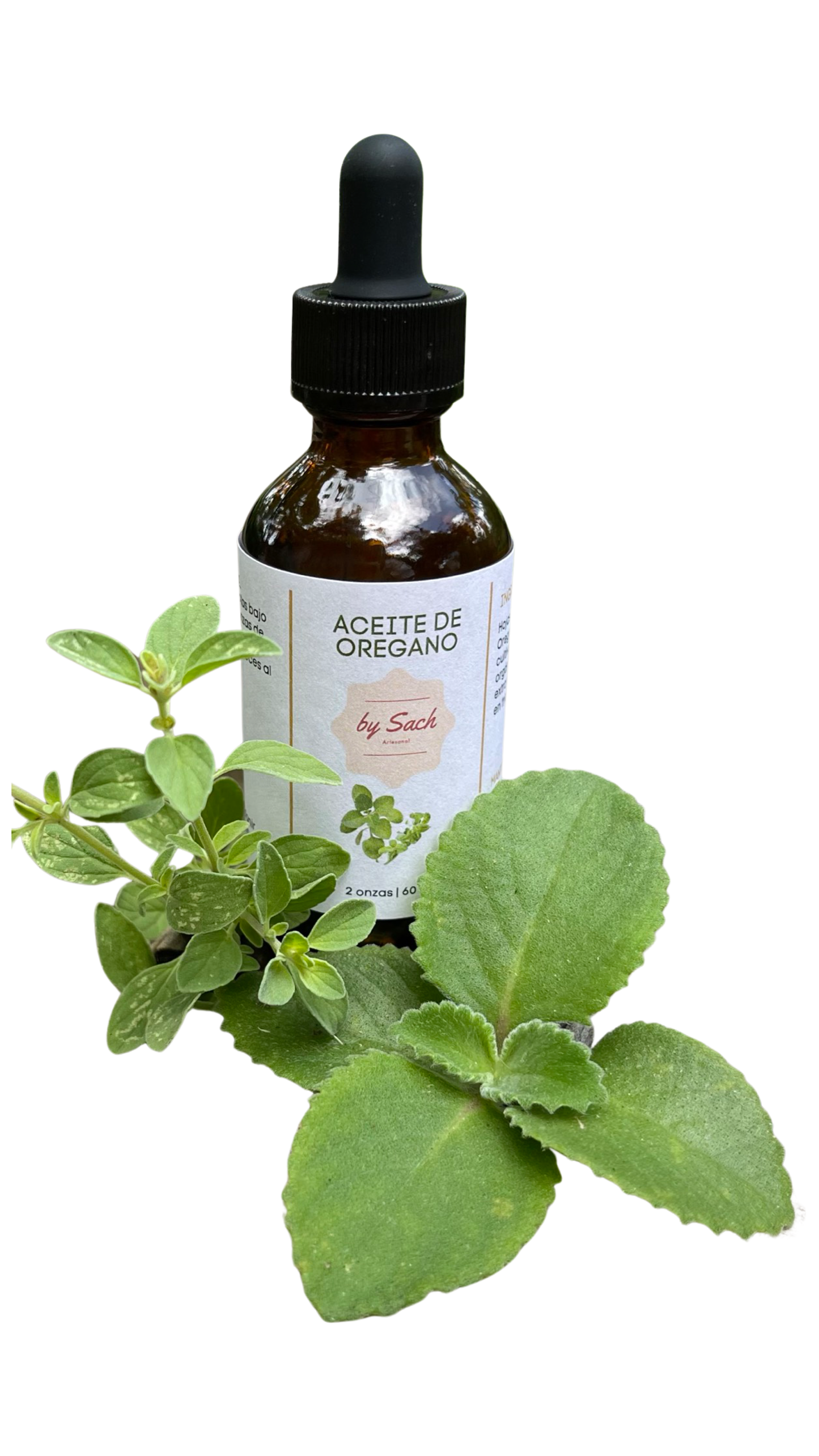 Aceite de Oregano | Oregan Oil