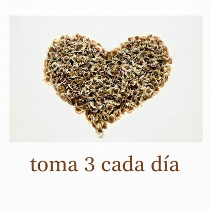Semillas de Moringa | Moringa Seed